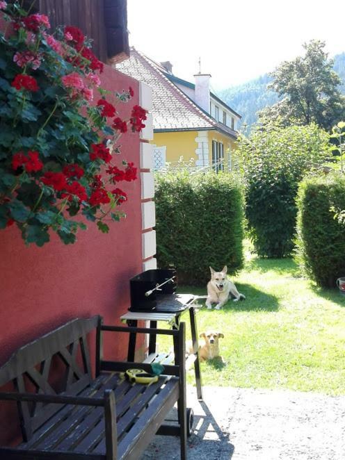 Pusterwald La Vecchia Mesnerhaus 빌라 외부 사진